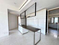 111 Emerald Hill (D9), Apartment #482506461